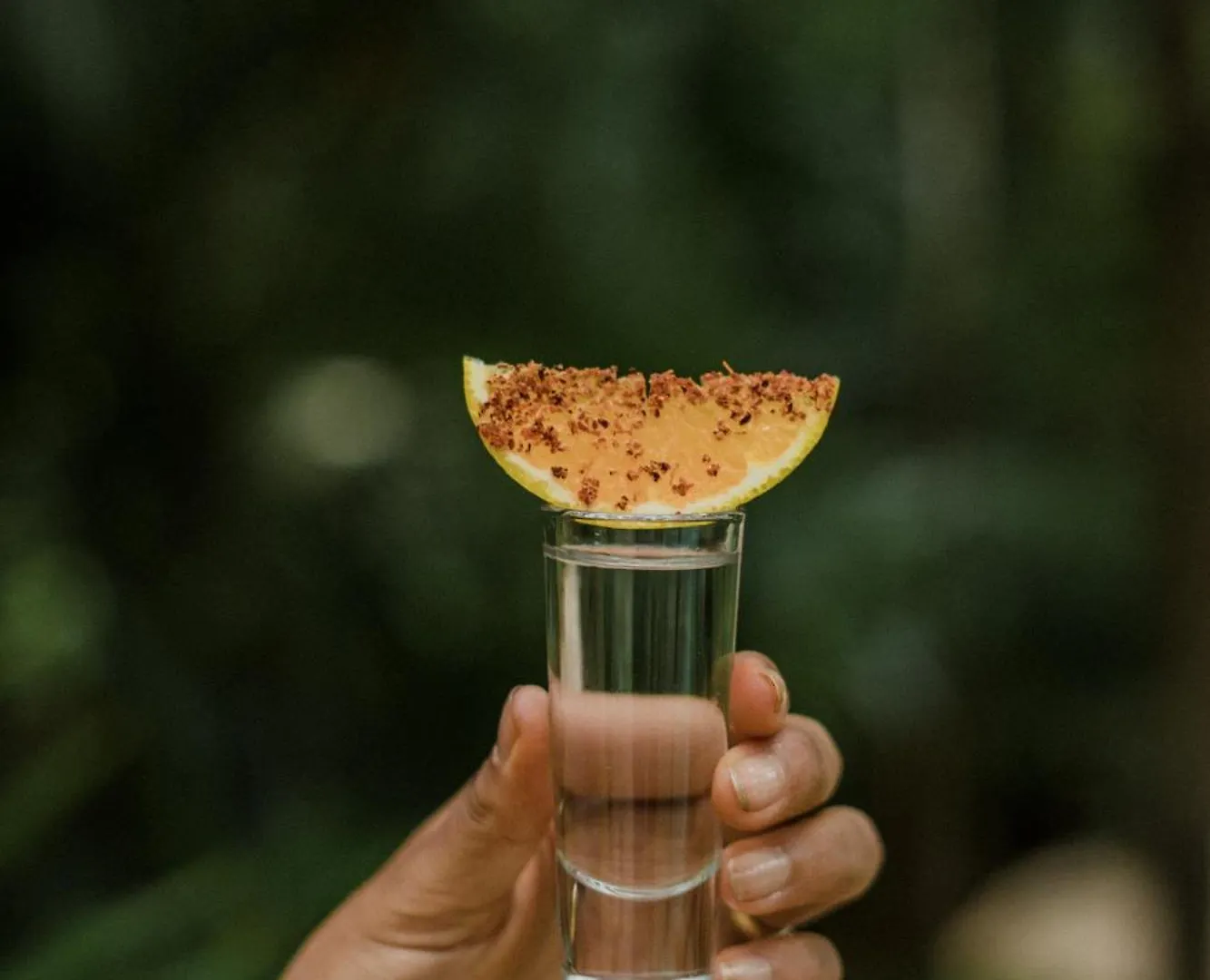 Copal Tulum Hotel מלון דירות