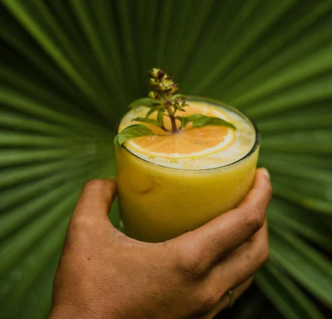 Aparthotel Copal Tulum Hotel